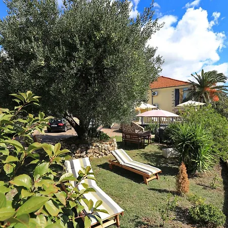 Laura, No 3 * Maslenica